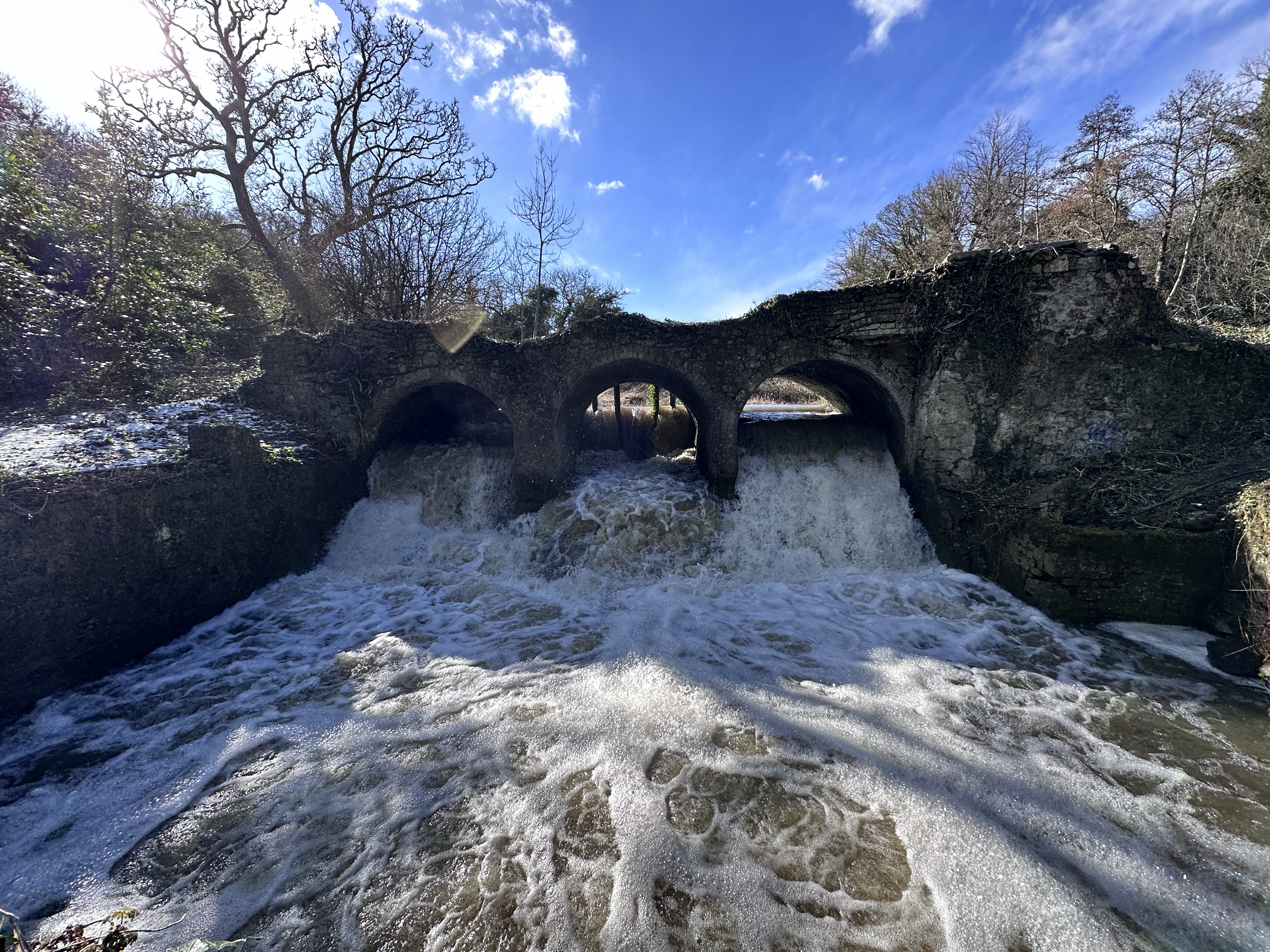 Featured image for The river of life.