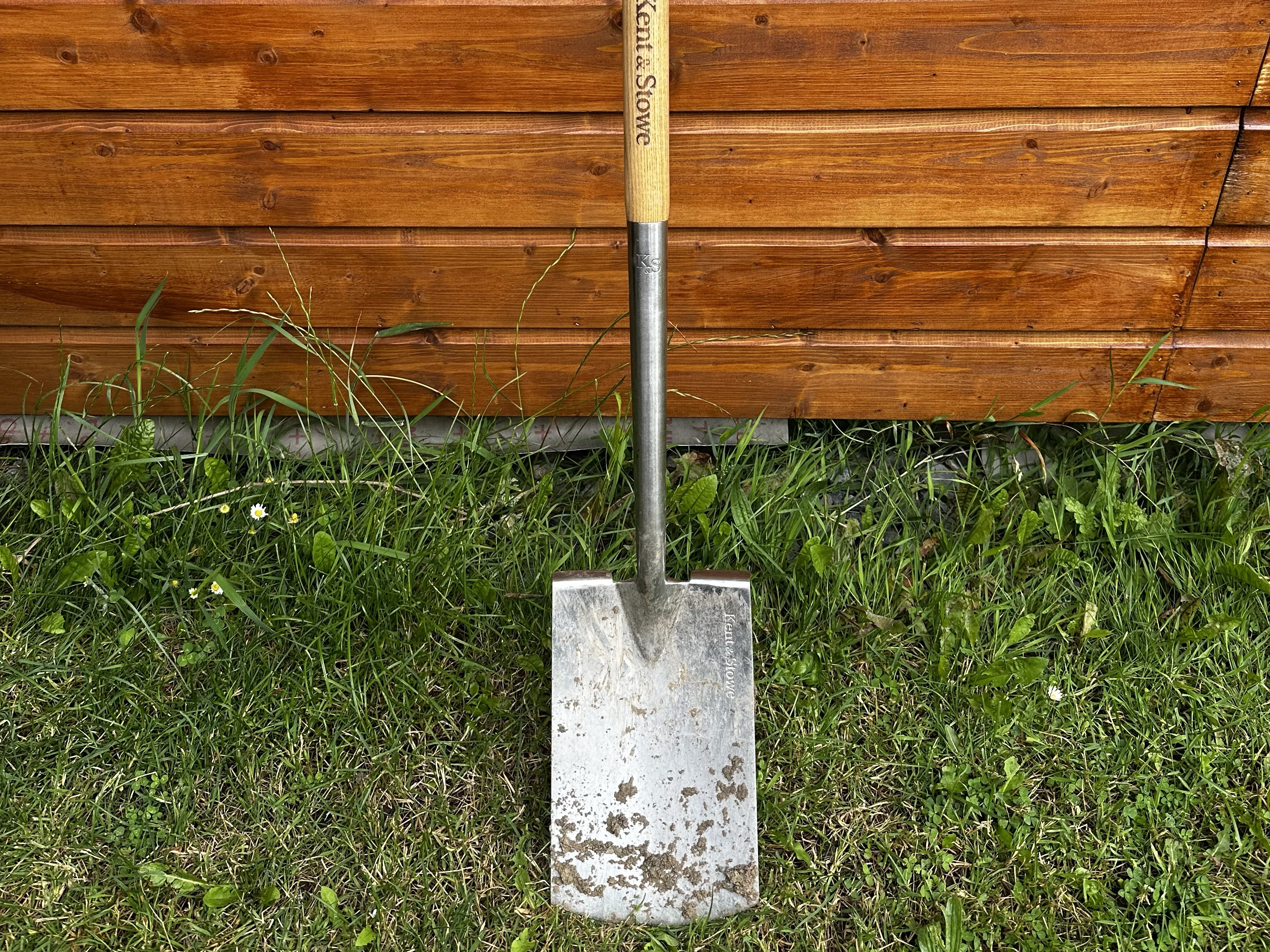 Featured image for AI &#8211; The Anything tool.