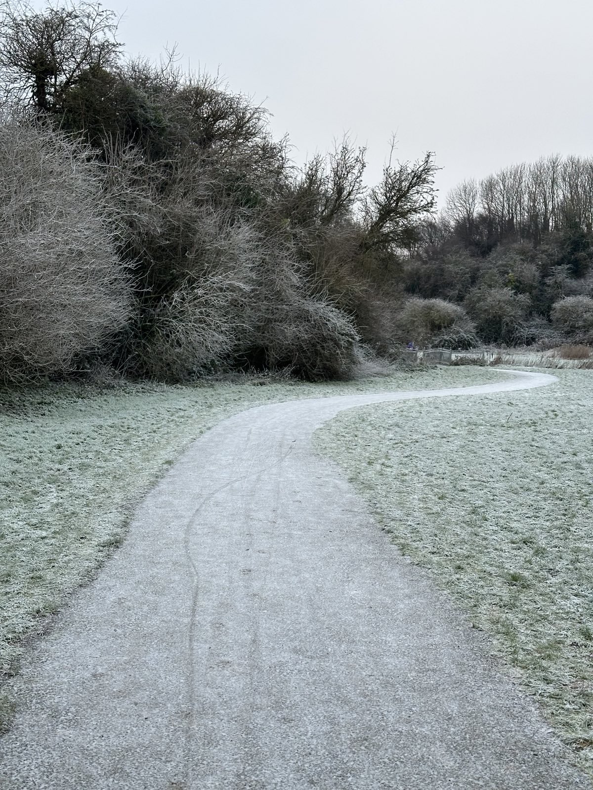 Featured image for Personal Growth and Mindfulness